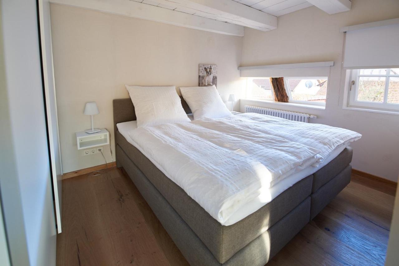Ferienhaus Oberstaader Fewo Maisonette 외닝겐 외부 사진